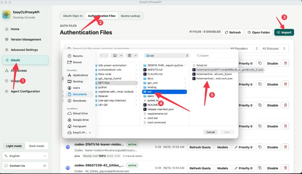EasyCLI OAuth: Authentication Files, Import, chọn JSON trong thư mục out